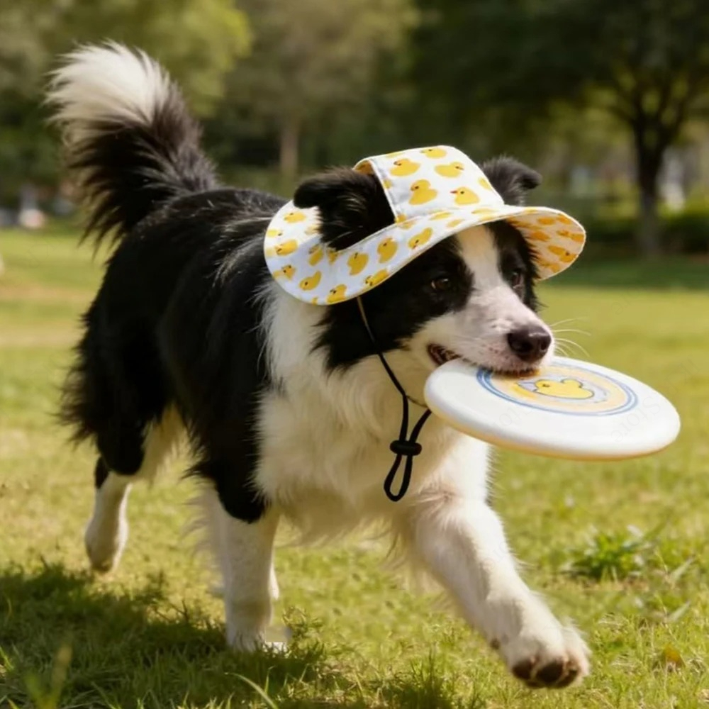 Printed Pet Dog Hat Adjustable - огляд і ціна Running Cap Lightweight